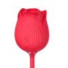 CR005 3