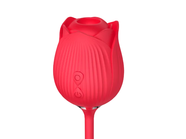 CR005 3
