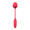 CR005 6