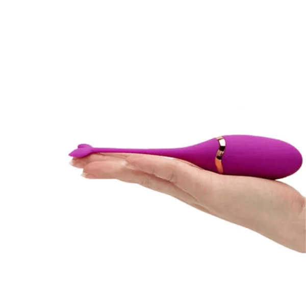 Purple Colour 10 Speeds Rechargeable Silicone Remote Control Vibrating Egg XL061