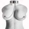 Bondage Fetish Metallic Silver Collar With Nipple Clamp LV762
