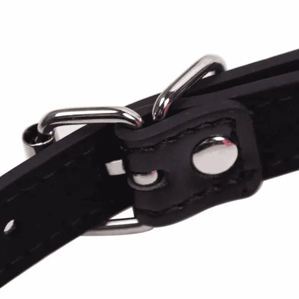 Open Mouth Gag Lips with Strap O-Ring Ball Restraints DP569