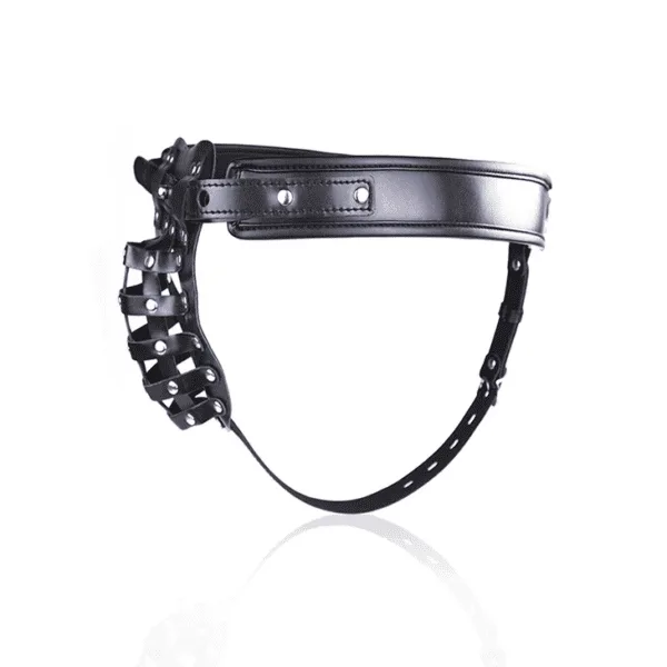 Mens Chastity Belt with Padlock and Key DP160