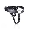 Mens Chastity Belt with Padlock and Key DP160