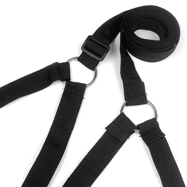 Under Bed Restraint System Y66205 - DP103